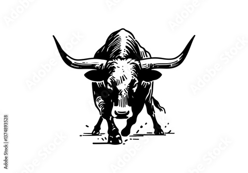 Texas Longhorn cattle hand drawn vector illustration