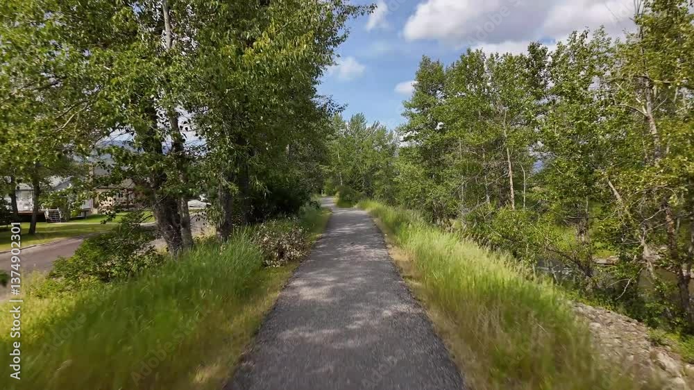 Paved Path Through Green Trees in Alberta, Canada, on a Summer Day Paved Path Through Green Trees in Alberta, Canada, on a Summer Day
