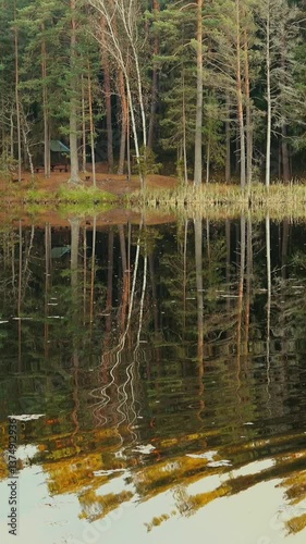 Vertical video of a northern forest and a lake.