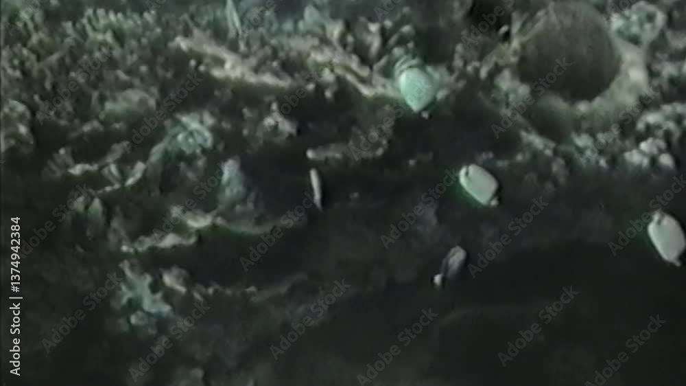 Mesmerizing Aquarium Scene With Various Coral And Swimming Fish