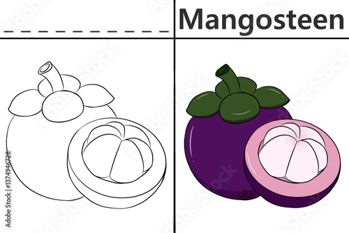 Mangosteen coloring pages for kids and learning to recognize letters, fruit recognition cards, media for various games in early childhood learning