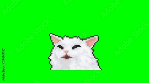 Meowing cat, pixel art animation meme. 