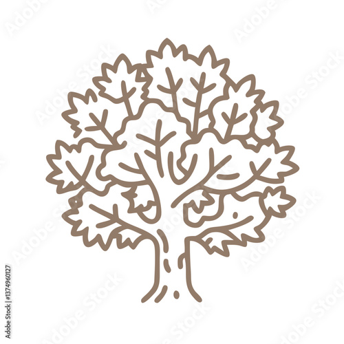 Dwarf Plane Tree Outline Illustration
