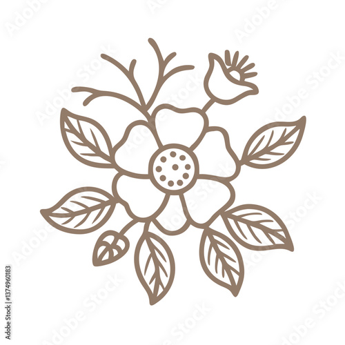 Eglantine Rose Outline Illustration, Rosaceae