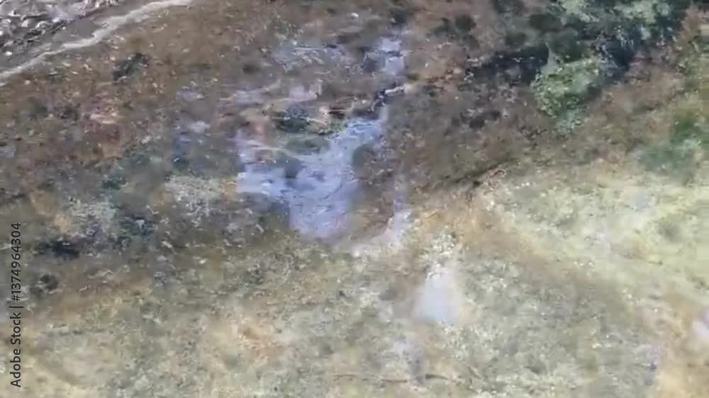 上流の小川 上流の小川