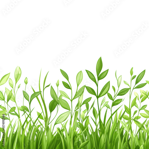 isolated transparent Background. Lush green grass and vibrant leaves create refreshing natural scene