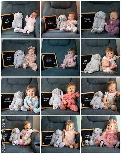 A collage of baby girl's first-year journey with monthly milestone photos. Each picture showcases her growth, personality, and adorable outfits, alongside a soft plush bunny and felt letter board. 