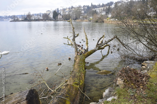 Vierwaldstättersee in Luzern