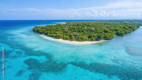 breathtaking aerial view of untouched island surrounded by clear turquoise waters, showcasing