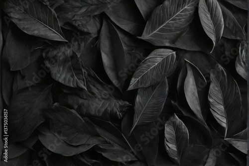 Scattered monochrome leaves on black background, creating a dark and mysterious atmosphere with smooth glossy texture.
