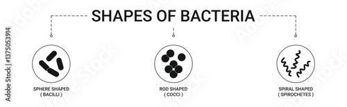 Shapes Of Bacteria Banner with icons concept illustration