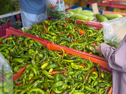 Fotografie Hatch chilli peppers, also known as Anaheim chillis, chiles or chillies