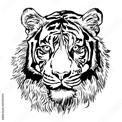 Black lines of a tiger's face
