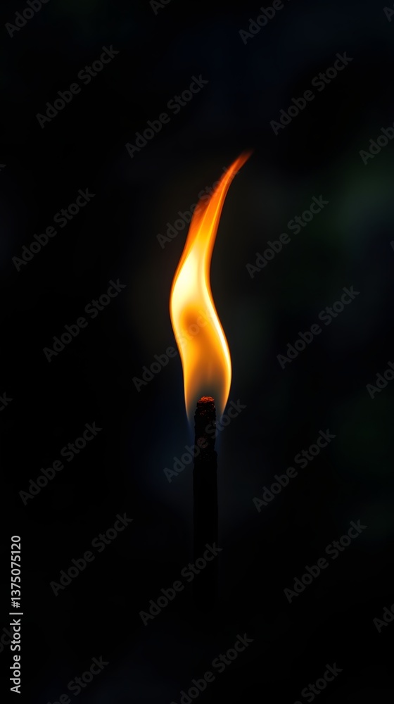 Burning torch in the dark Burning torch in the dark