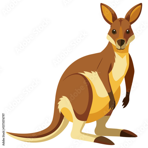 wallaby vector illustration, realistic marsupial artwork, Australian wildlife animal design