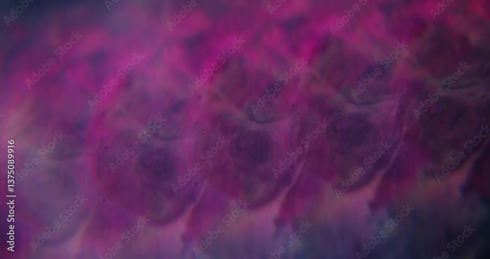 Purple reflection. Defocused spots. Lilac color gleaming blinking paint shiny water turning on blurred abstract art bokeh light background.