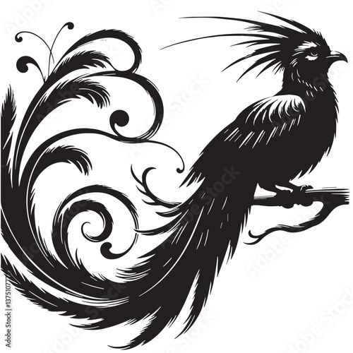 Black Resplendent Quetzal Silhouette Vector, High Quality Illustration on White Background