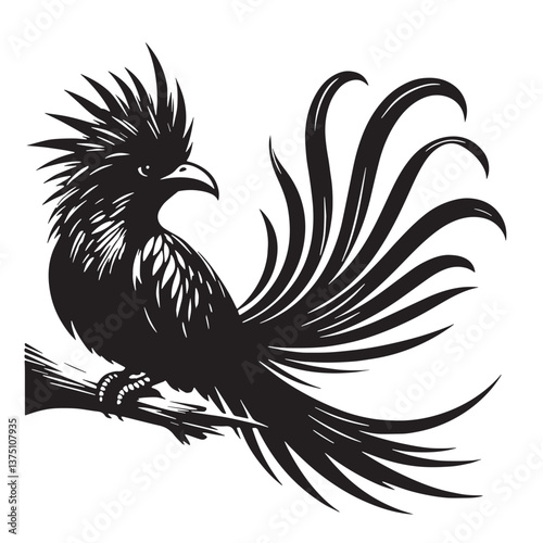 Black Resplendent Quetzal Silhouette Vector, High Quality Illustration on White Background