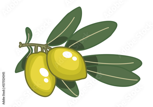 This is an illustration of a olive branch
