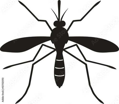 Close-up of a mosquito sucking blood isolated on a white background