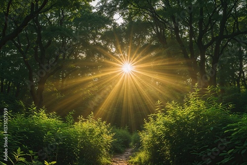 Breathtaking Rays of Sunlight Streaming Through a Peaceful Green Thicket