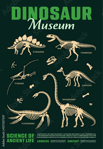 Dinosaur skeleton fossils for dino museum poster with Jurassic lizards, vector background. Prehistoric dinosaur and reptiles museum poster for paleontology exhibition of dino skeleton fossils