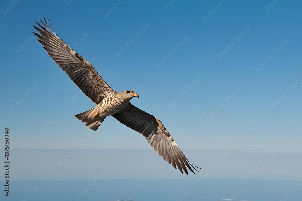Fototapeta premium Bird flying high in the sky, distant view with wide wings, clear blue horizon.
