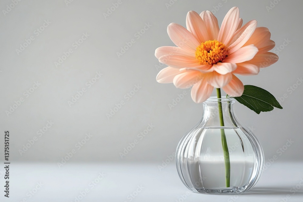 A delicate peach flower stands upright in a clear vase filled with water, gracefully enhancing the simplicity of its white background in a peaceful setting Generative AI A delicate peach flower stands upright in a clear vase filled with water, gracefully enhancing the simplicity of its white background in a peaceful setting Generative AI