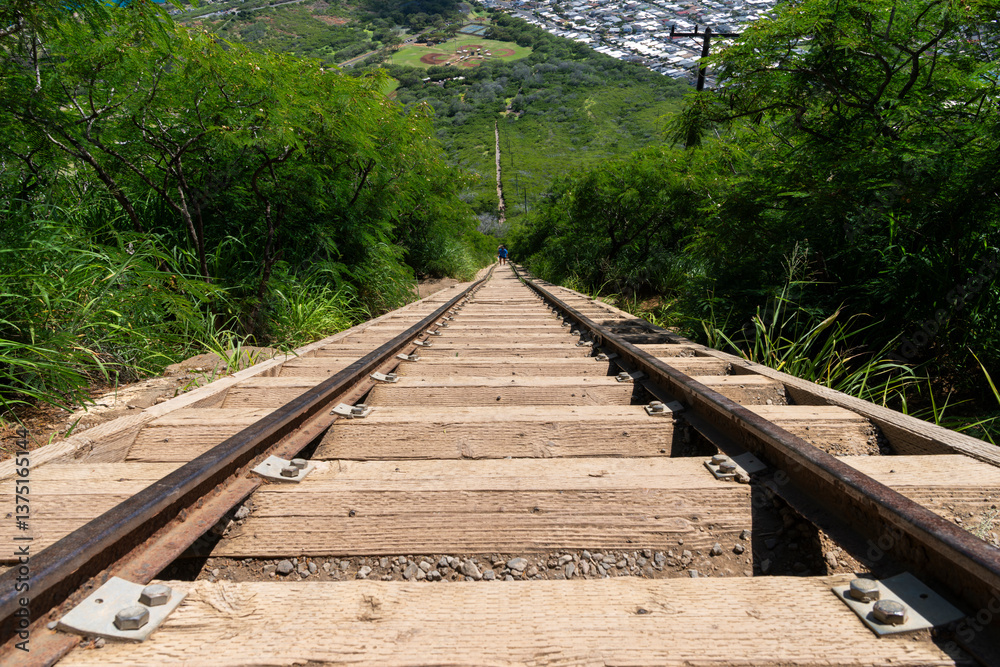 Fototapeta premium Wooden railway steps climbing steep terrain on the Koko Head trail.