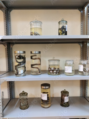 CatBa Beautiful island in the north of Vietnam