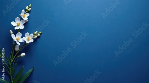 Delicate White Blossoms on a Deep Blue Background A Simple Floral Composition for Design Projects
