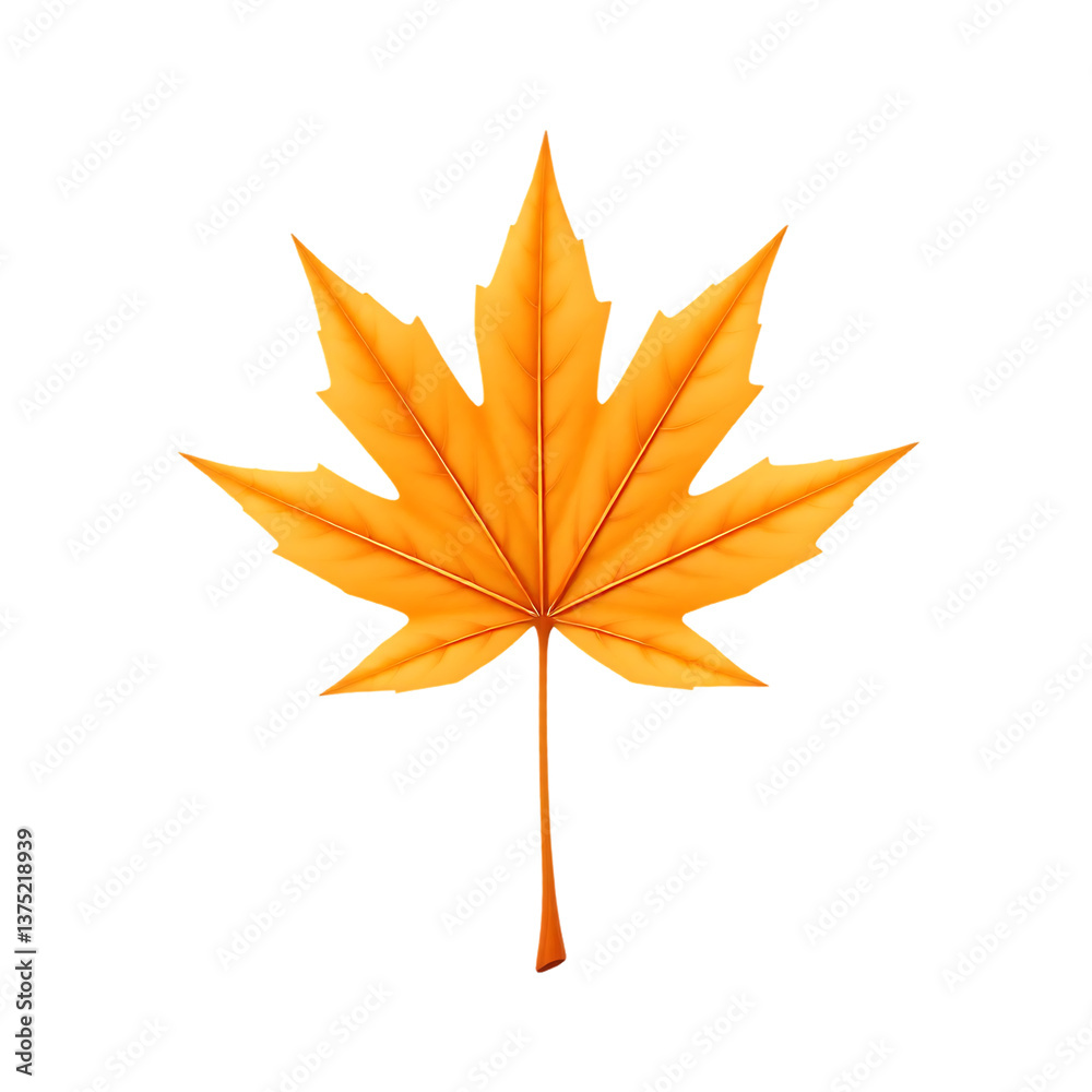 Close-up of an isolated golden autumn leaf on a transparent background Close-up of an isolated golden autumn leaf on a transparent background