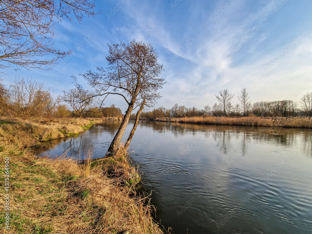 The Warta River and its tributaries, early spring, Poland.