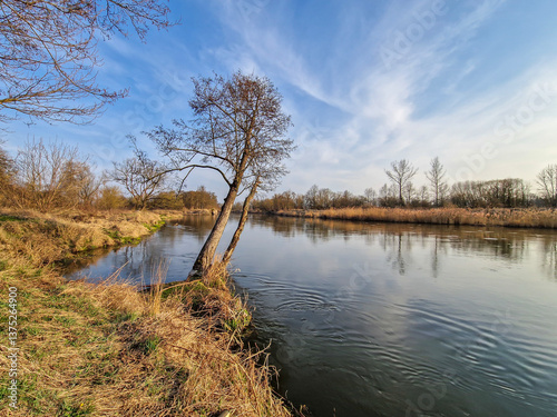 Obraz na płótnie The Warta River and its tributaries, early spring, Poland. w salonie