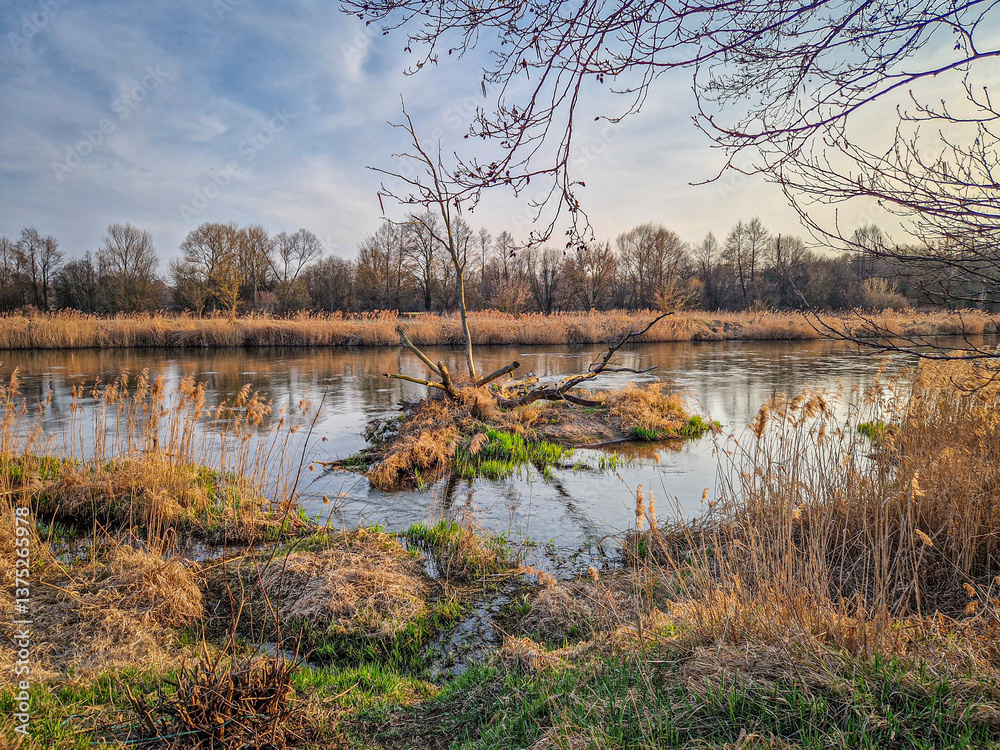 The Warta River and its tributaries, early spring, Poland.