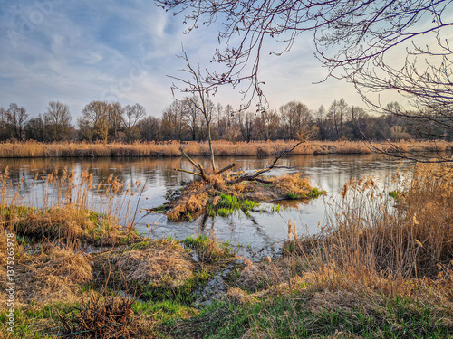 Obraz na płótnie The Warta River and its tributaries, early spring, Poland. w salonie