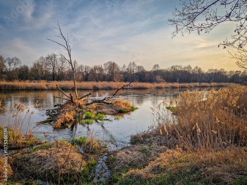 Obraz na płótnie The Warta River and its tributaries, early spring, Poland. w salonie