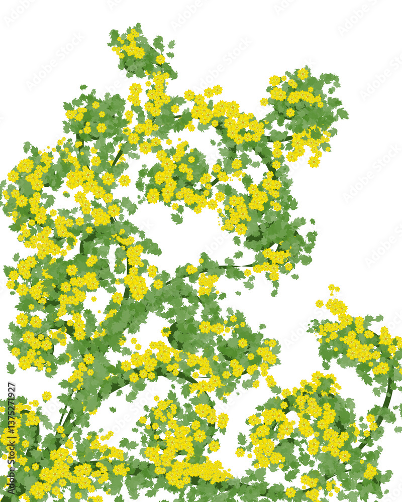 Obraz premium Spring yellow flower