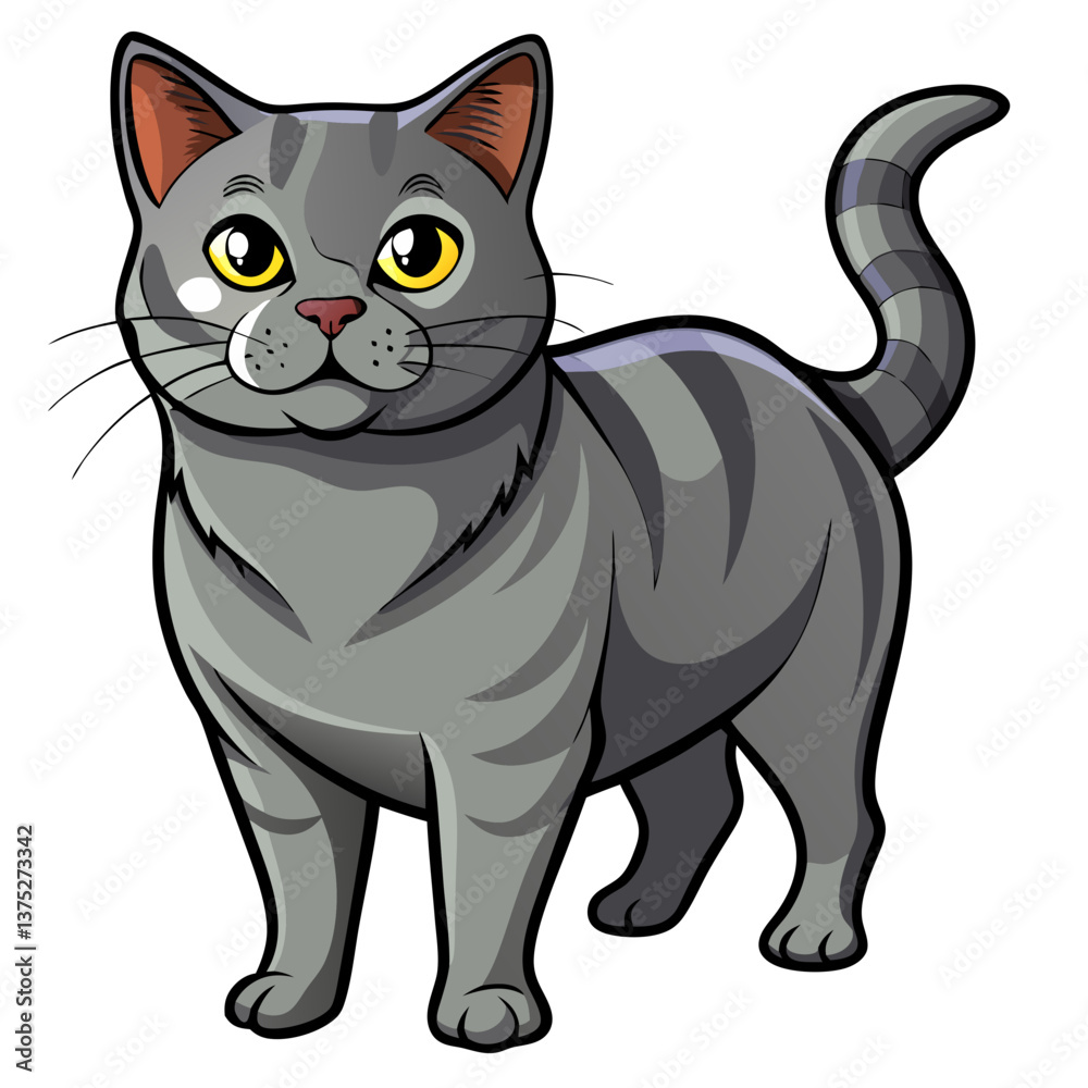 Chartreux cat standing confidently with bright eyes and playful demeanor Chartreux cat standing confidently with bright eyes and playful demeanor