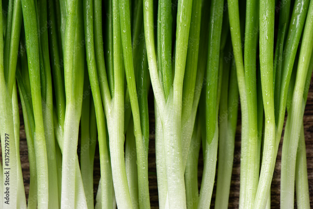 closeup of young green onions background. closeup of young green onions background.