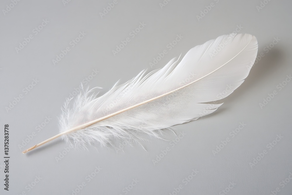 Obraz premium A single white feather resting on a solid neutral gray background