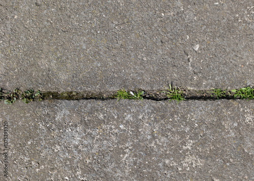 Background of destroyed concrete path, gray concrete, concrete texture, close-up. Natural photo. Old concrete slab