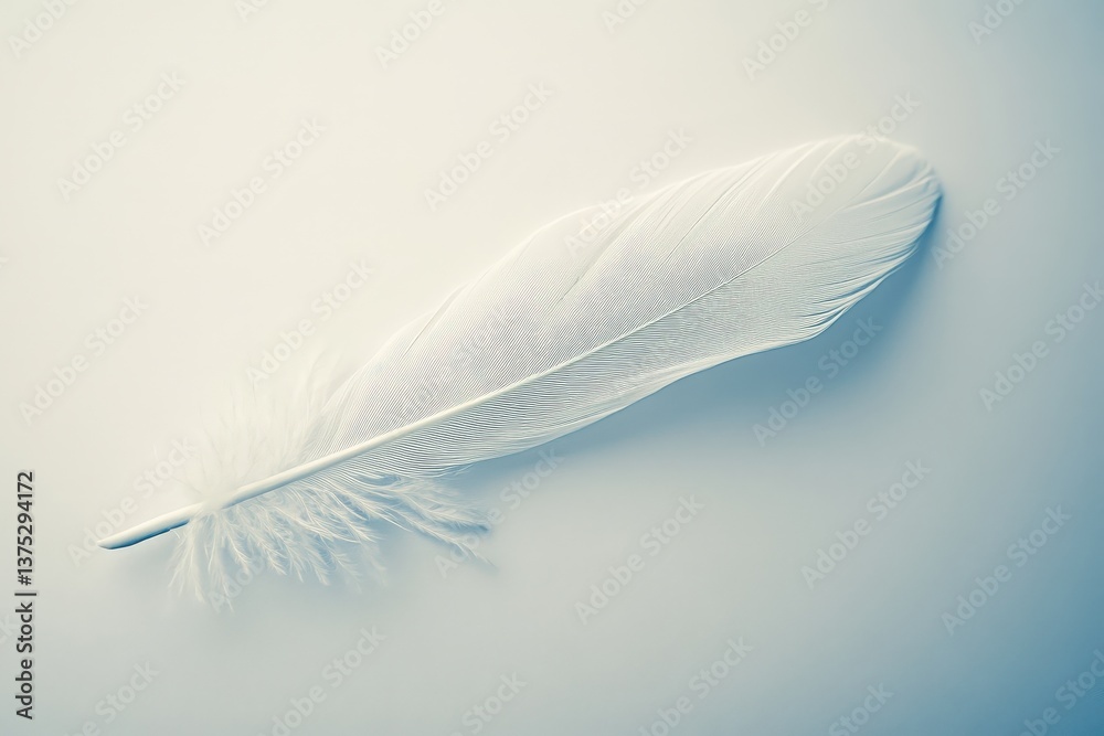 Obraz premium A singular white feather resting on a soft gradient background