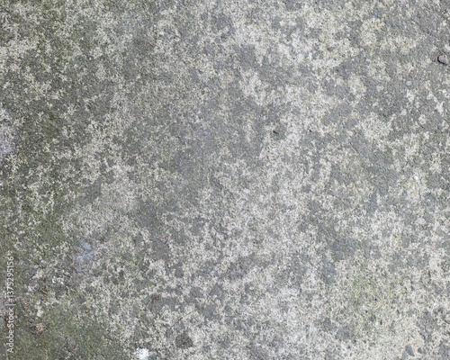 Background of destroyed concrete path, gray concrete, concrete texture, close-up. Natural photo. Old concrete slab