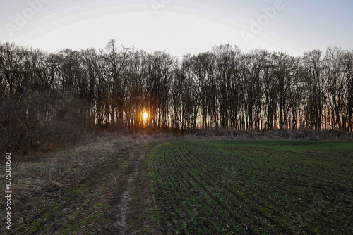 Photography The photograph captures a serene rural landscape at sunset