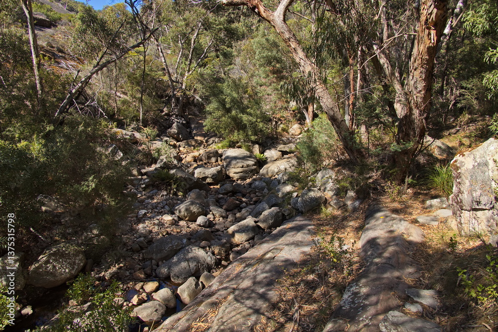 Hiking track at Venus Baths in Grampians National Park in Victoria, Australia
Hiking track at Venus Baths in Grampians National Park in Victoria, Australia