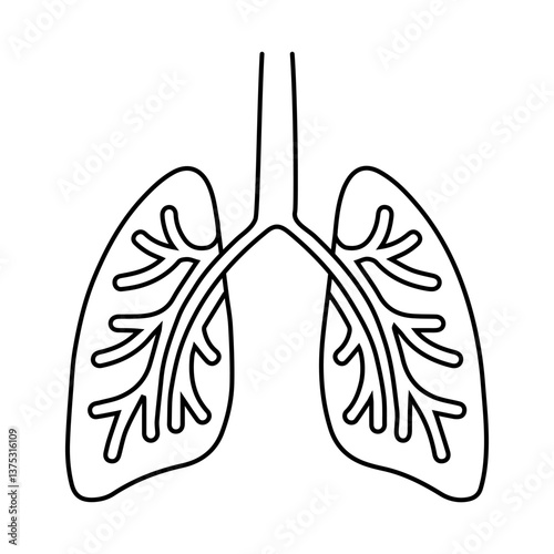 Bronchi black outline of human lungs, ideal for medical visuals