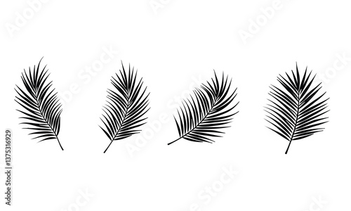 
leaf silhouette vector set, black illustration,