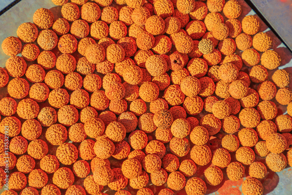 Quandong Seeds dried. Australia bush food eaten by Australian aborigines. Santalum acuminatum or quandong of the desert is a red fruits in central deserts and southern areas of Australia.