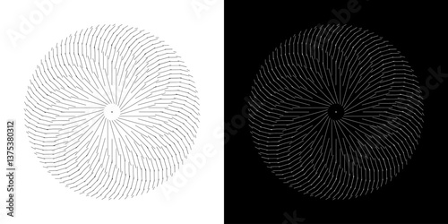 Abstract background with abstract line pattern in circles. Spiral art design as a logo or icon. A black figure on a white background and the same white figure on a black side. Mandala design with line